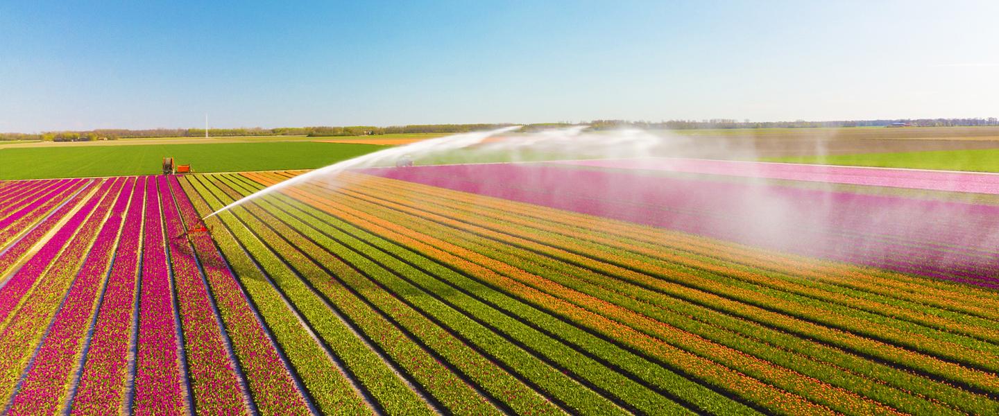 Irrigation & Water Management